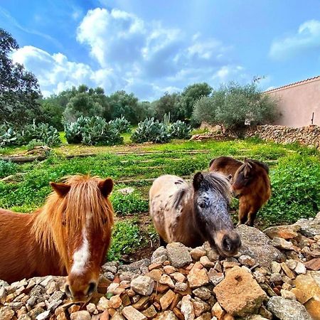 Finca Agroturismo Sa Cova Den Borino Campos  Extérieur photo