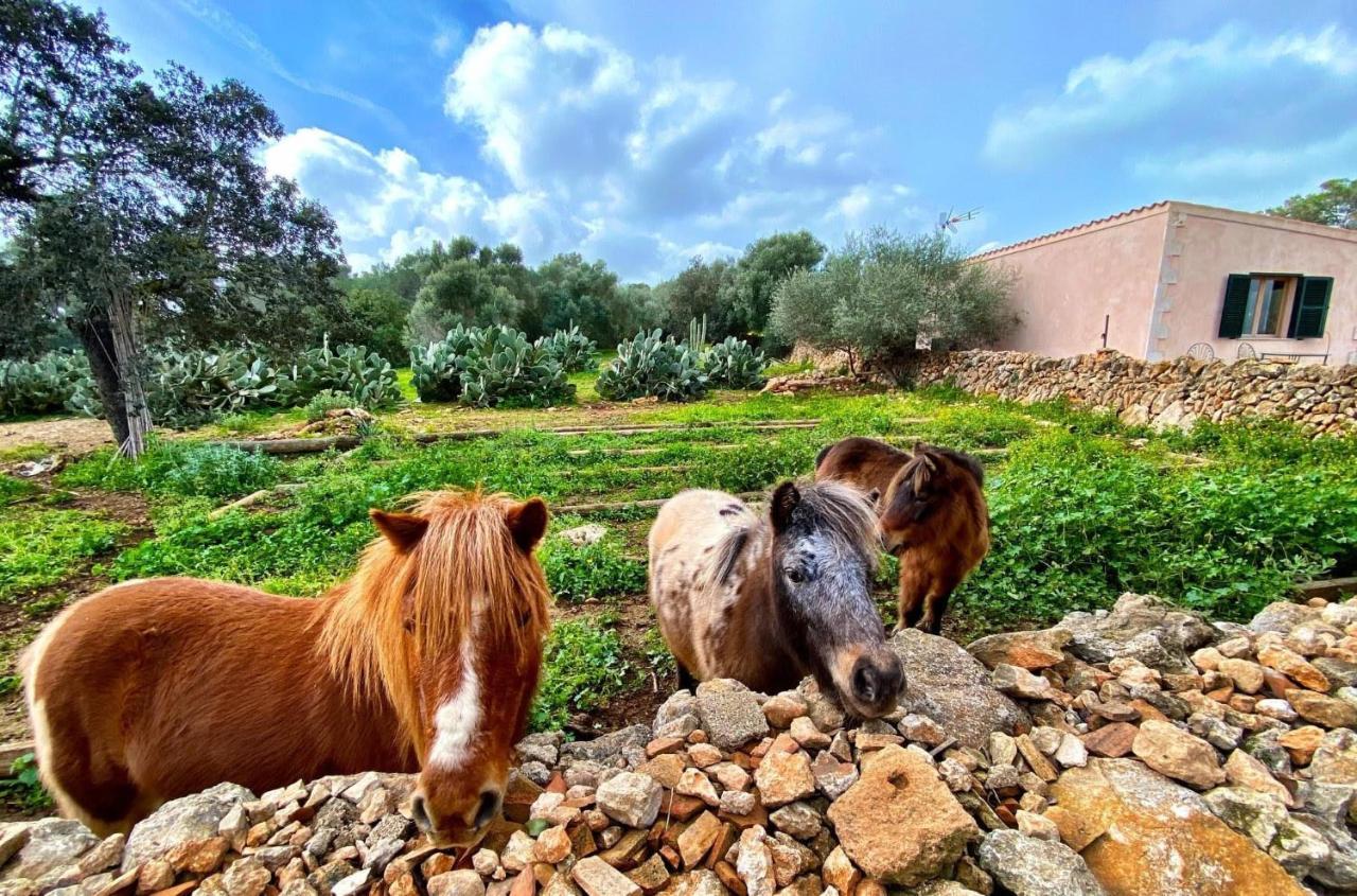 Finca Agroturismo Sa Cova Den Borino Campos  Extérieur photo