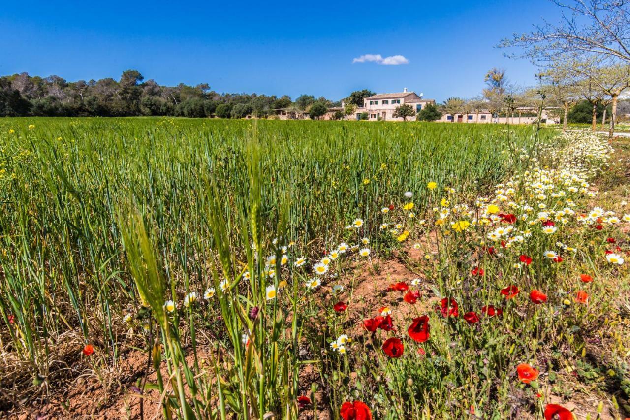 Finca Agroturismo Sa Cova Den Borino Campos  Extérieur photo