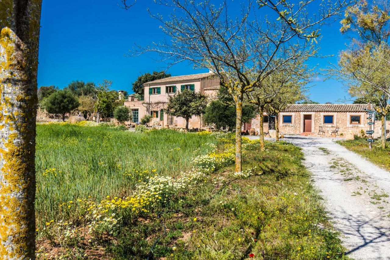 Finca Agroturismo Sa Cova Den Borino Campos  Extérieur photo