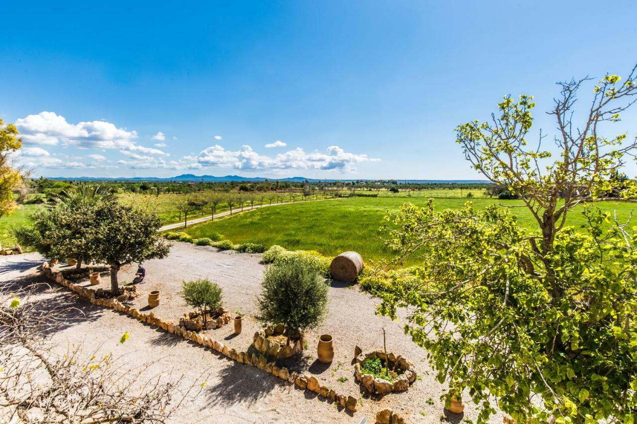 Finca Agroturismo Sa Cova Den Borino Campos  Extérieur photo