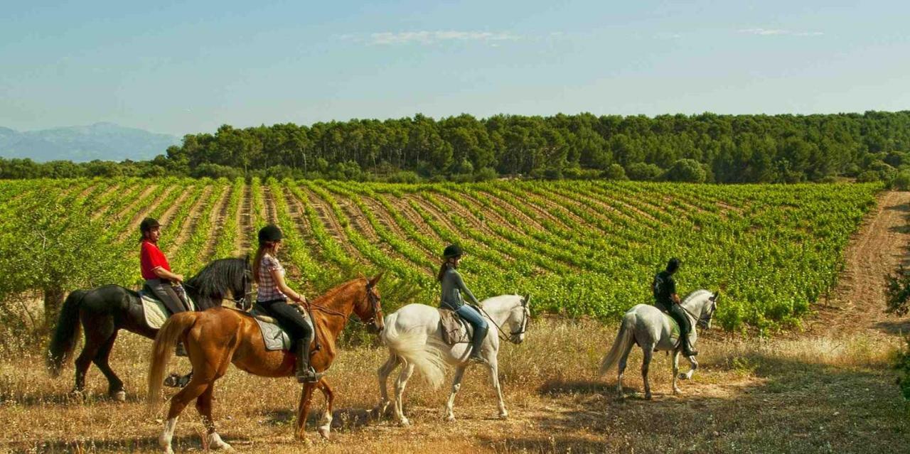 Finca Agroturismo Sa Cova Den Borino Campos  Extérieur photo